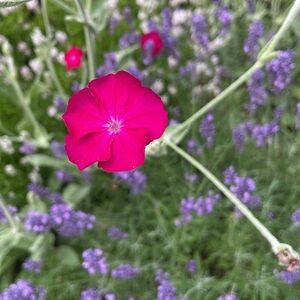 Meet your Posher, JT